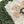 Green And Beige