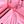Silver Pink