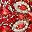 Color Silver Red