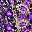 Dark Green Purple