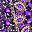 Silver Purple