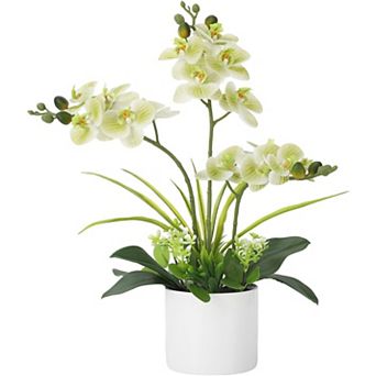 Artificial Phalaenopsis Orchid, Real Touch Silk Flowers in Vase for Decor