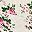 Multicolor Floral