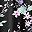 Black Print