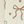Beige Bow Brown