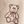 Tan Bears