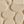 Beige Silver