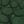 Dark Green Gold