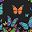 Black Butterfly