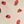 Strawberry Beige