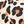 Leopard Print