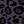 Leopard Purple