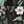 Plants Black