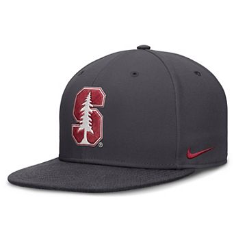 Men's Nike Anthracite Stanford Cardinal Pro Dri-FIT Fitted Hat