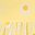 Yellow Daisy
