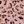 Pink Leopard
