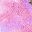 Tiedye Pink
