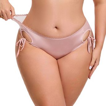 Women's Side Tie Panties Lace Mesh Sheer Underwear Low Rise Briefs Underpants