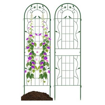 2 Pack 71 Inch Tall Rustproof Metal Garden Trellis for Vines