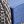 Blue Grey