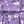 Purple Floral