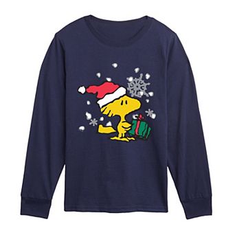 Boys 8-20 Peanuts Woodstock Christmas Present Long Sleeve Graphic Tee