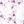 Pink Line Florals