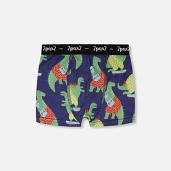 Little Kids Boy Organic Cotton Boxer Dino Print