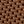 Pecan Fabric