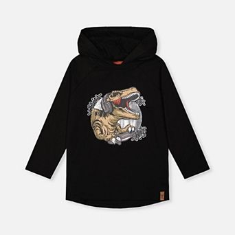 Little Kids Boy Graphic Print Raglan Hooded T-Shirt