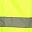 Fluorescent Yellow