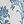 Blue White
