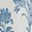 Blue White