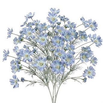 Kaelin Home 4 pc 24Inch Light Blue Cosmos Branches Artificial Flowers