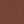 Apricot Brown