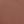 Apricot Brown