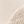 Beige Pumpkin Orange