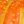 Deep Orange