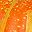 Deep Orange