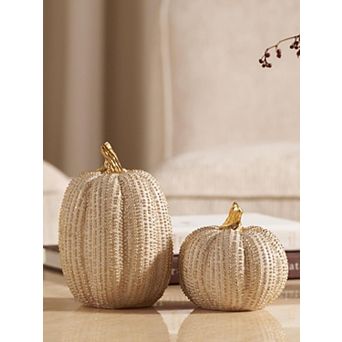 Fall Pumpkin Decor Set of 2 Modern Farmhouse Thanksgiving Indoor Home Decor