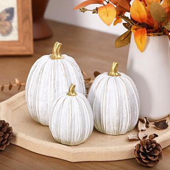 Set of 3 Fall Pumpkin Decor Farmhouse Modern Seasonal Home Accents