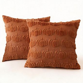 2Pack 18" x 18" Fallow Throw Pillow Covers Harvest Holiday Farmhouse Decor