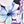 Purple Floral Print