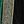 Black Green