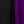 Black Purple