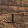 Rustic Brown