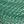Jungle Green