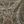 Grey Damask
