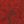 Scrolled Floral Red