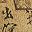 Calligraphy